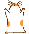 HAMPTON HAMPSTER HAMPTON HAMPSTER