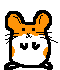 SNOWBALL SNOWBALL